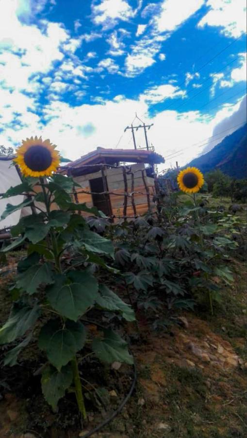 Hostal Las Valkirias Matanza Exterior foto